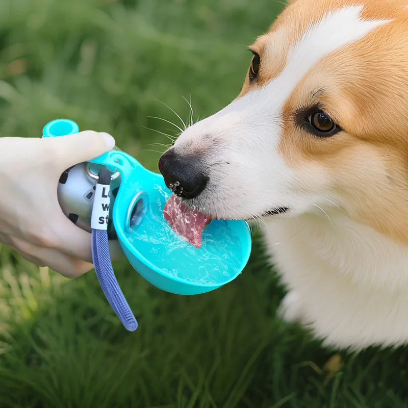 Dog Water Bottle with Bowl for Cat 304 Stainless Steel Portable Outdoor Pet Stainless Steel Water Cup Safe Food-Grade Silicone