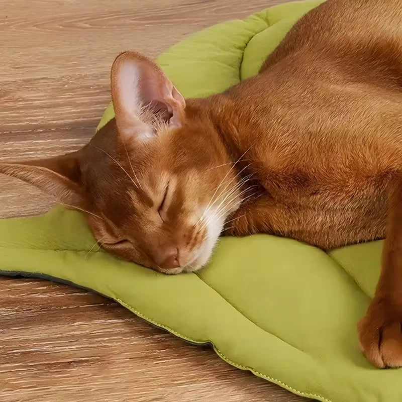 Stylish Leaf Pet Cushion Reversible Soft Washable Non Slip Bed Mat for Cats Dogs Indoor Travel Camping Comfort Travel Gear