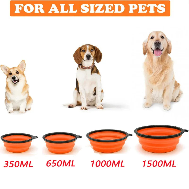 Folding Portable Silicone Dog Feeder Bowl 2 In 1 Pet Dispenser Outdoor Travel Dog Cat with Carabiner Bottle Food Water Container