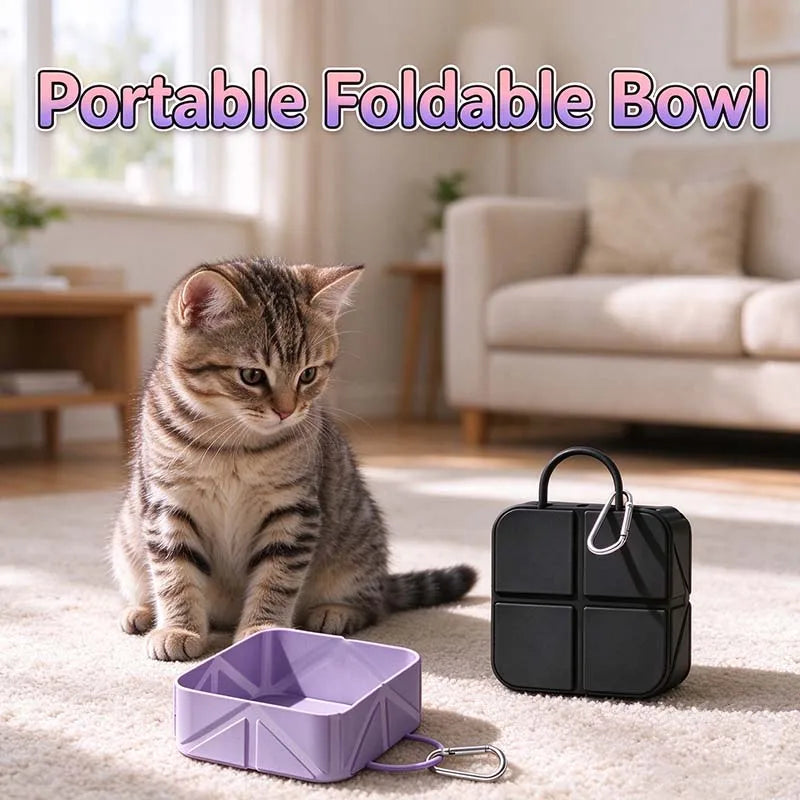 Dog Bowl Pet Travel Collapsible Bowls, Portable Foldable Cats Dogs Water Dish Puppy Bowl for  Walking Traveling Outdoors