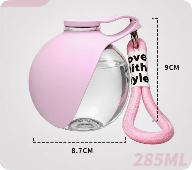 Portable Stainless Steel Pet Water Bottle with Foldable Silicone Bowl for Dogs and Cats Outdoor Walking Hiking Travel Use