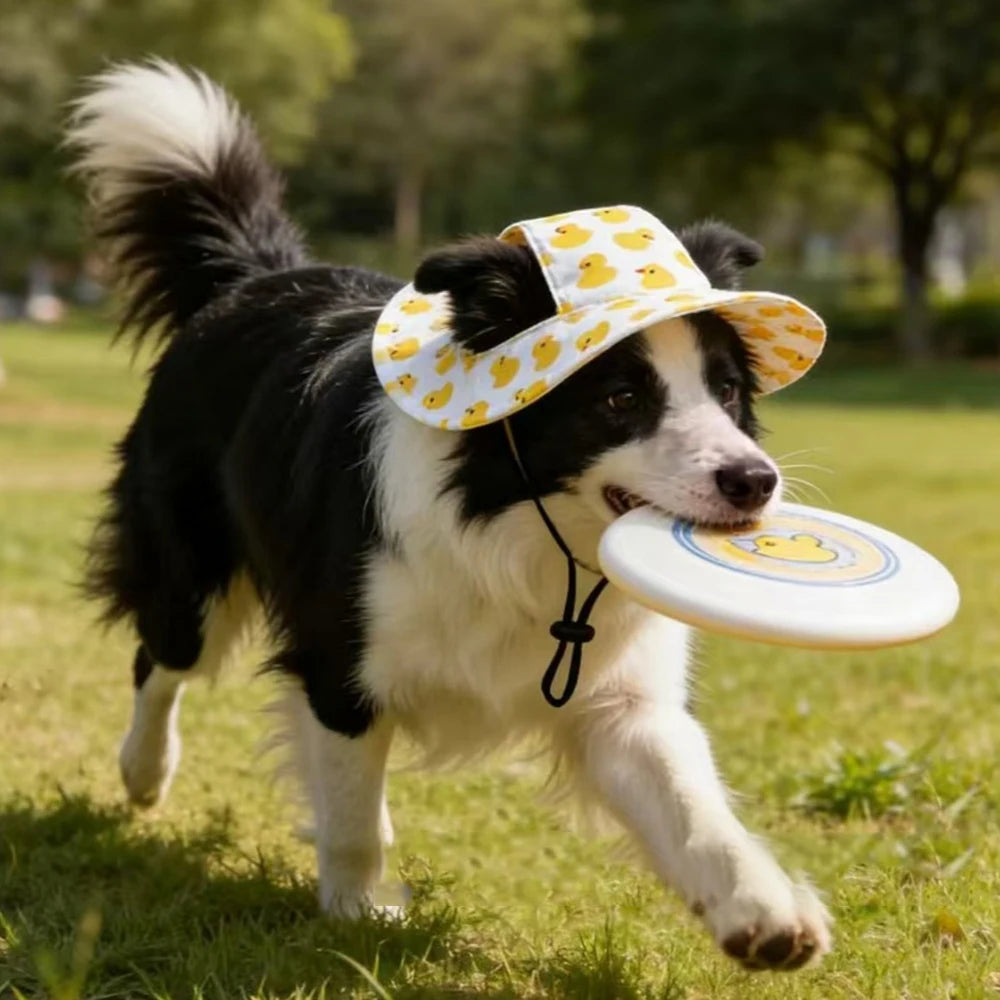 Cute Duck Printed Pet Cat Dog Hat Adjustable Cap for Cat Small Medium Puppy Corgi Pug Dachshund Outdoor Dog Costume Accessory