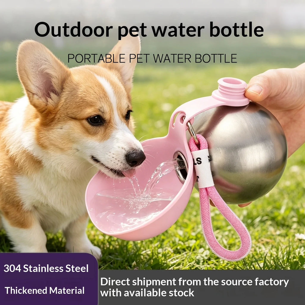 Portable Stainless Steel Pet Water Bottle with Foldable Silicone Bowl for Dogs and Cats Outdoor Walking Hiking Travel Use